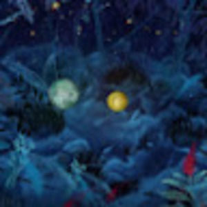 Meet your Posher, Franky